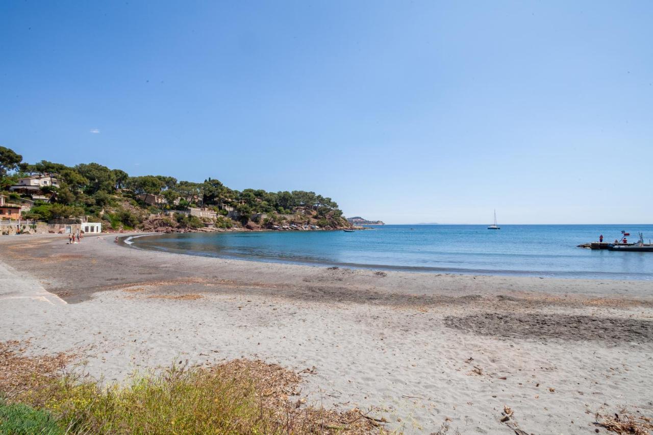 T2 - La Seyne Sur Mer - Fabregas La Seyne-sur-Mer Exterior foto