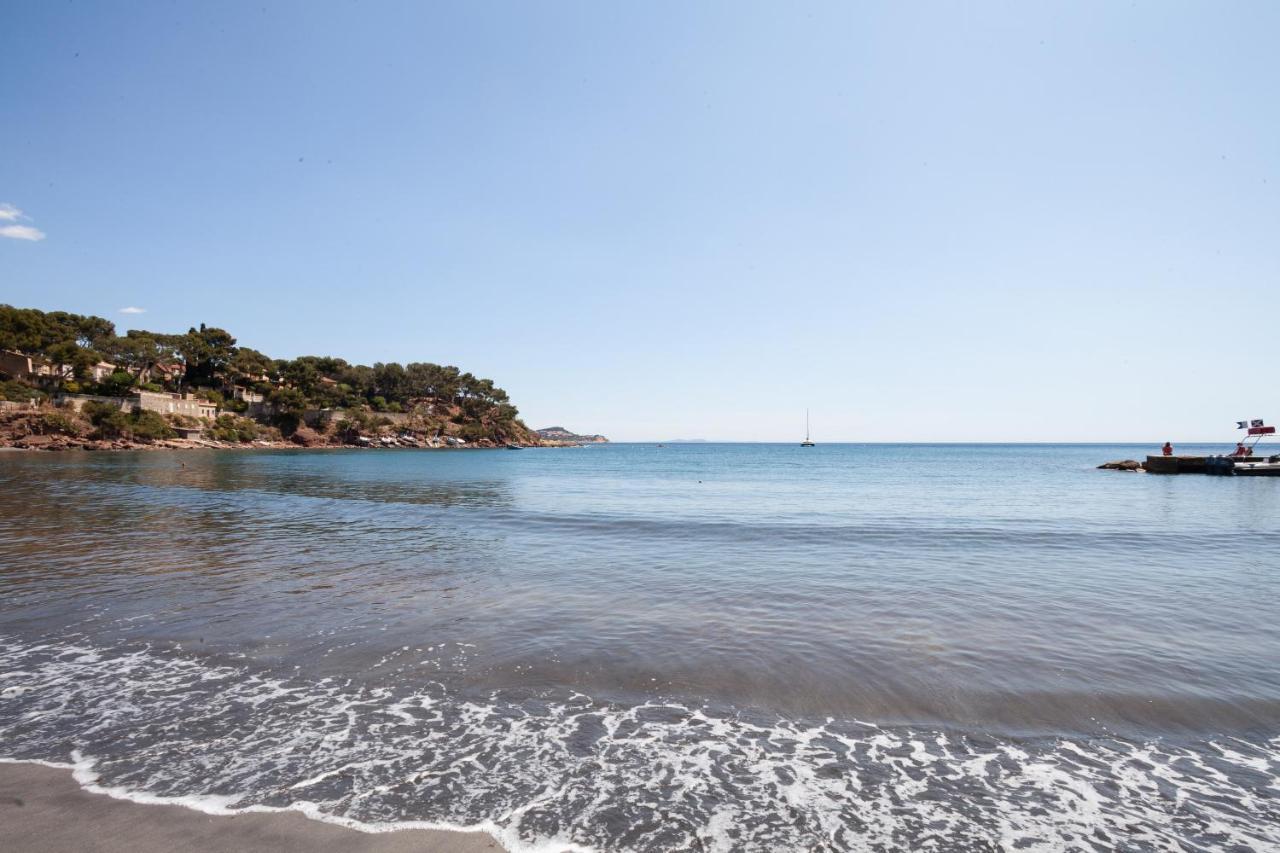 T2 - La Seyne Sur Mer - Fabregas La Seyne-sur-Mer Exterior foto
